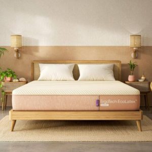 Wakefit Mattress 10 Years Warranty ErgoTech EcoLatex Classic Mattress, Mattress Double Bed